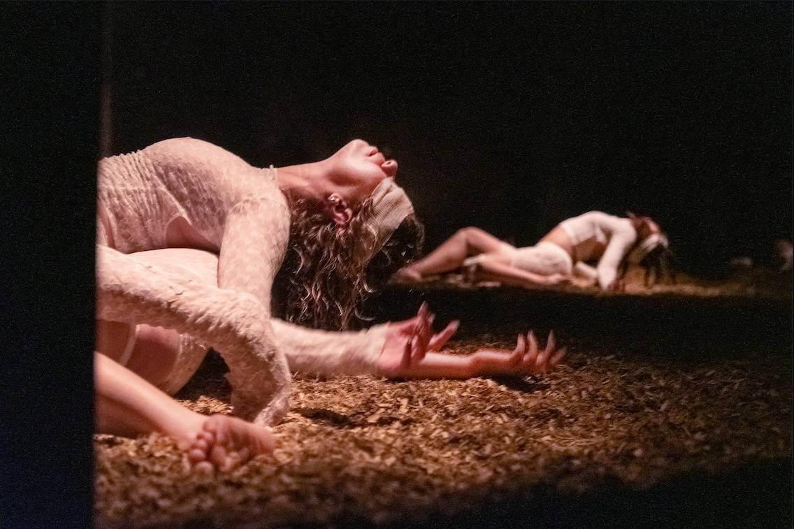 GAZE - ©Kurt Van der Elst